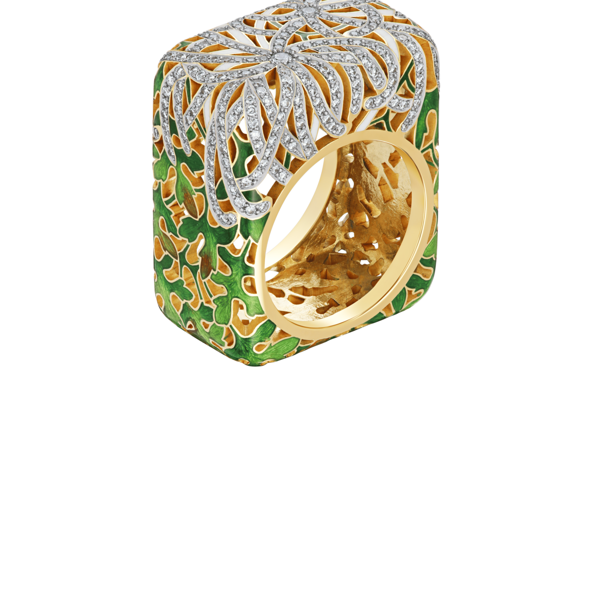 Chrysanthemum
