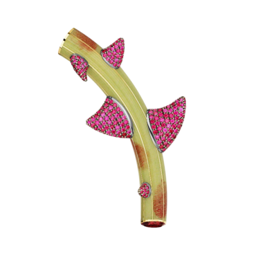 Rose branch