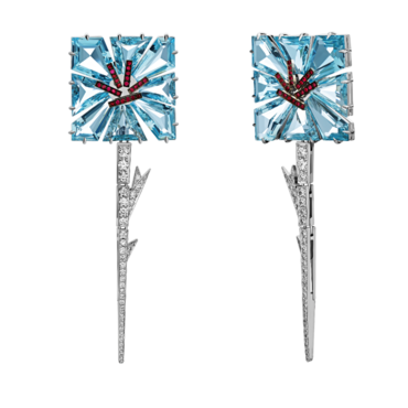 Chicory