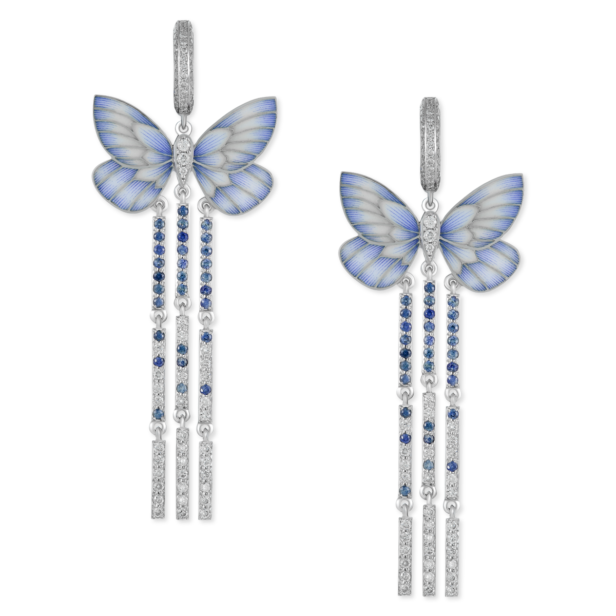 Blue butterflies