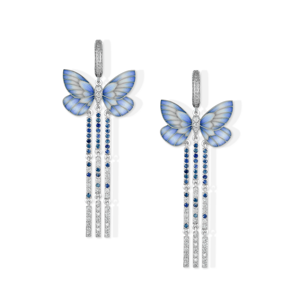 Blue butterflies