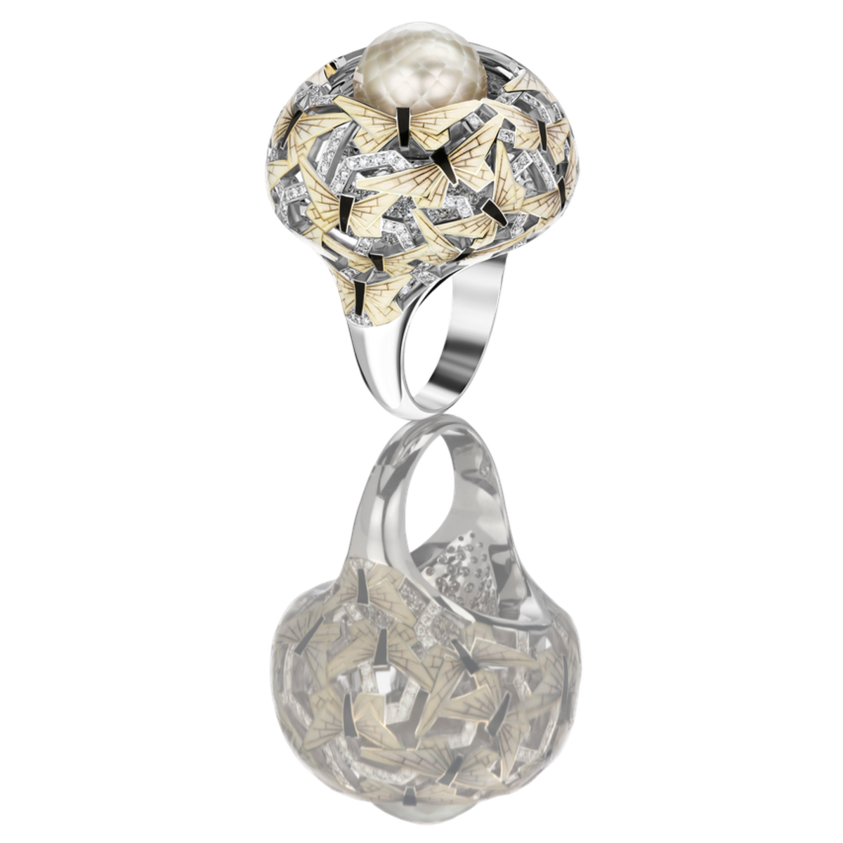 Butterflies. Evening