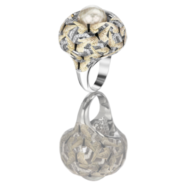 Butterflies. Evening